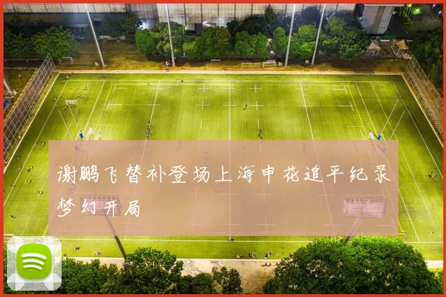 谢鹏飞替补登场上海申花追平纪录梦幻开局