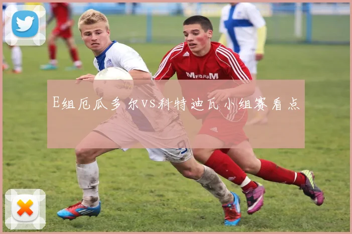 E组厄瓜多尔vs科特迪瓦小组赛看点