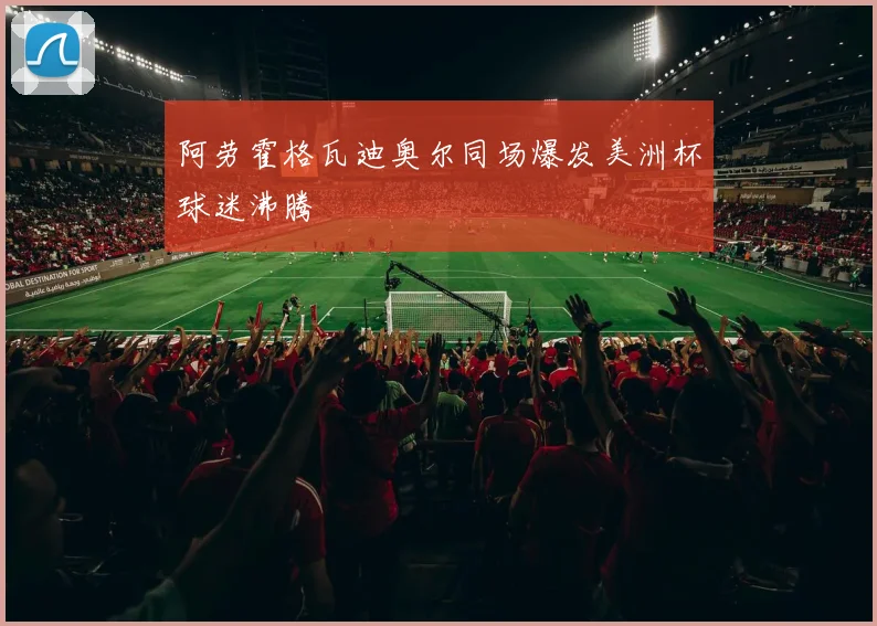 阿劳霍格瓦迪奥尔同场爆发美洲杯球迷沸腾