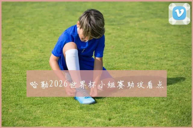哈勒2026世界杯小组赛助攻看点