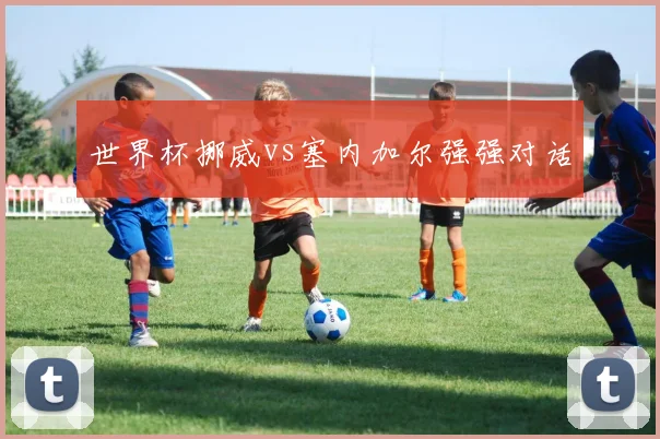 世界杯挪威vs塞内加尔强强对话