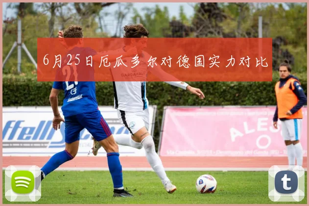 6月25日厄瓜多尔对德国实力对比