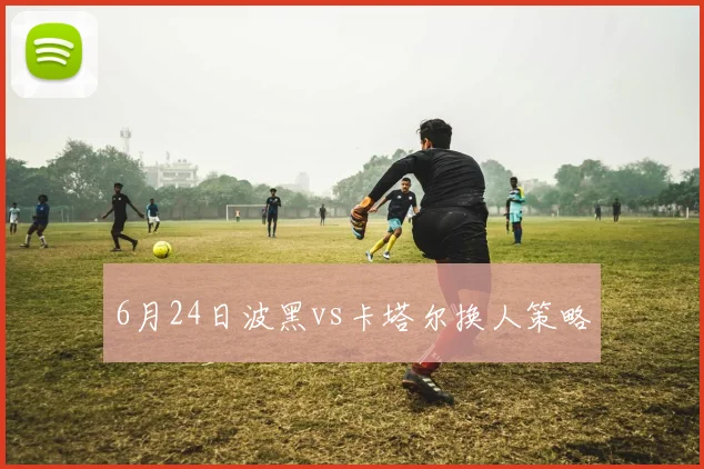 6月24日波黑vs卡塔尔换人策略